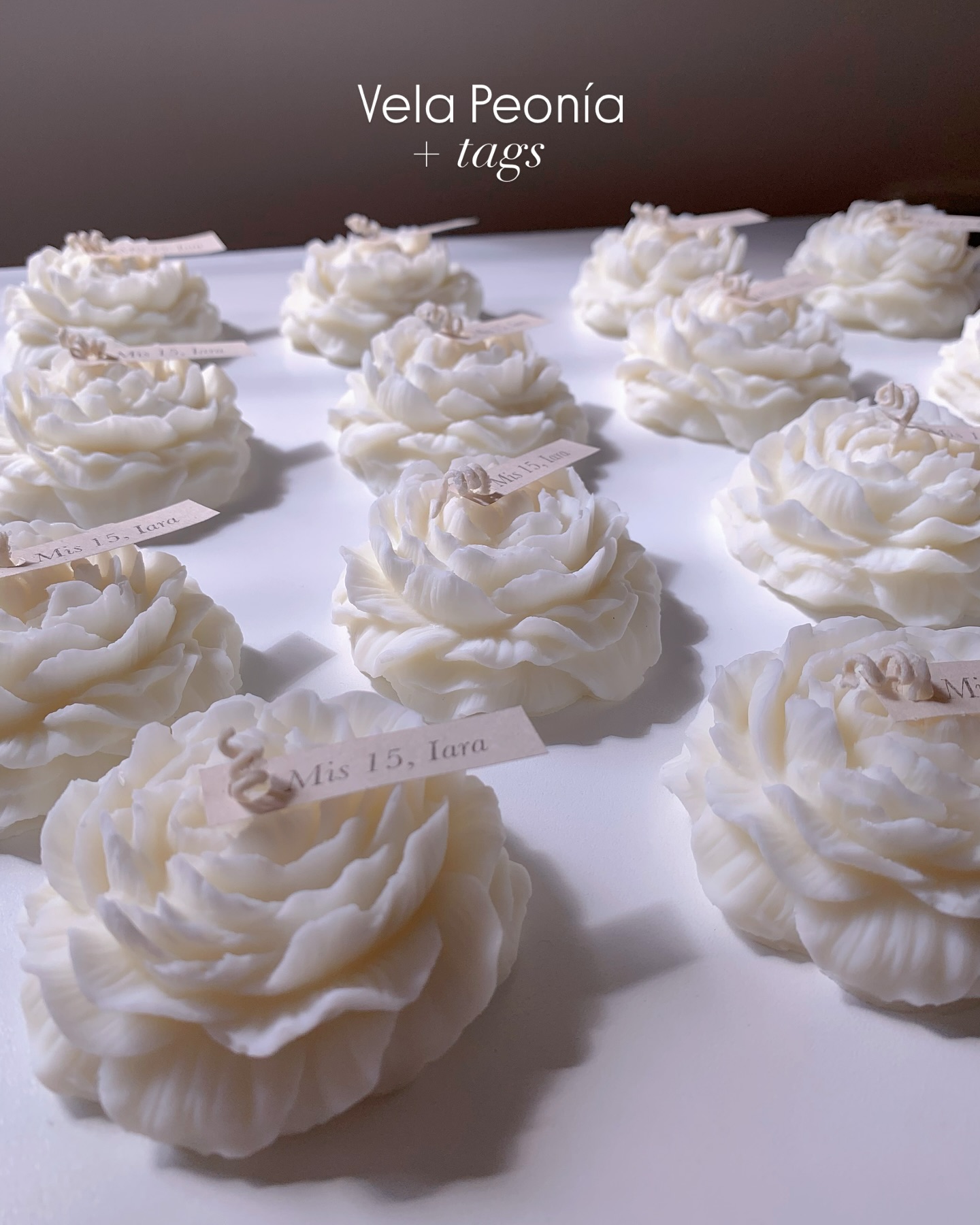Velas pegonia + tags