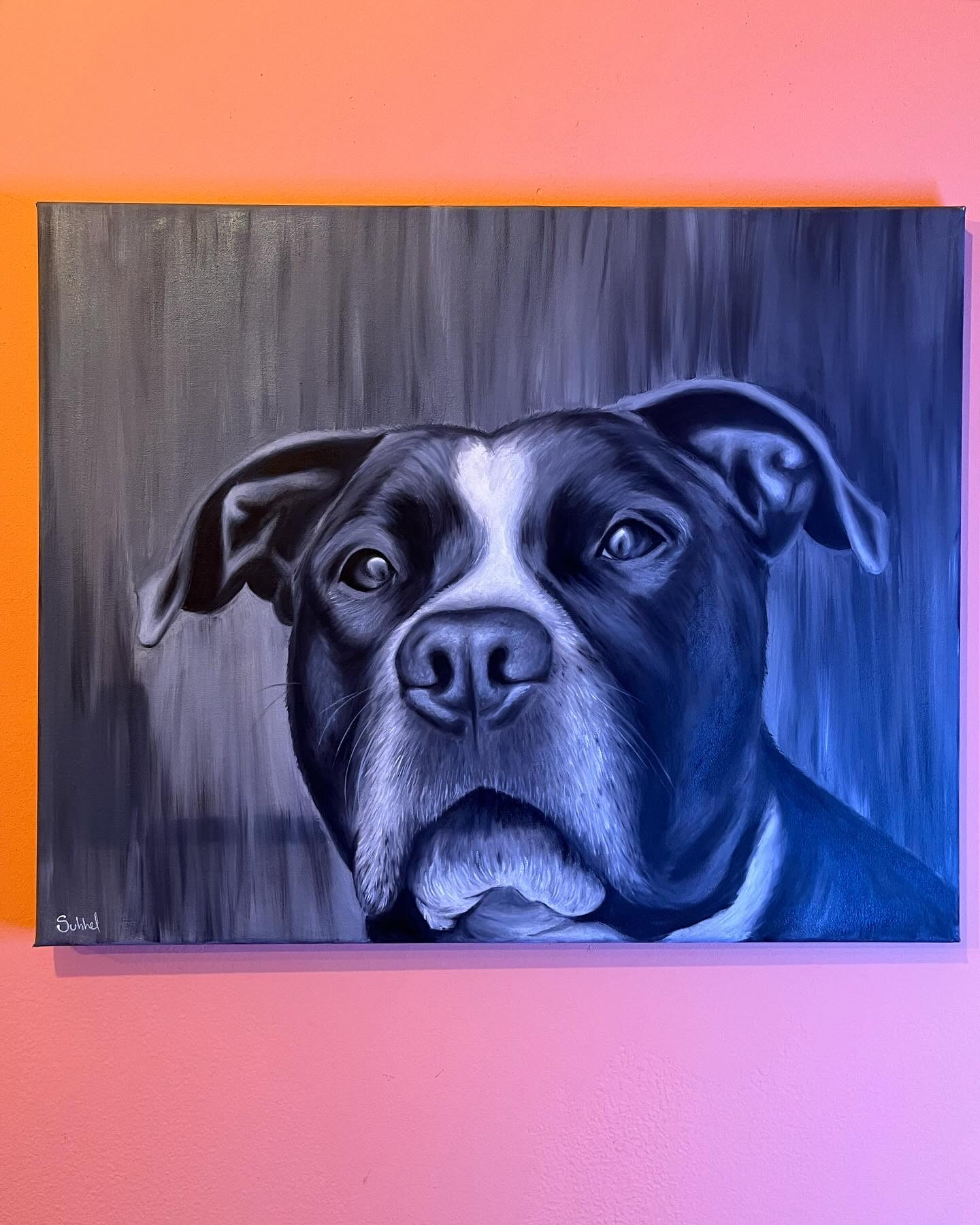 Retratos de mascotas