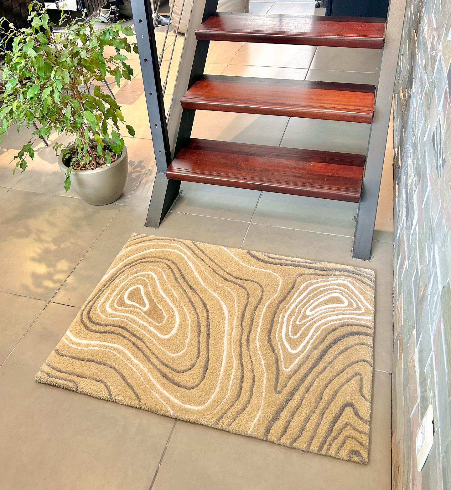 Alfombrα con lı́neαs topógrάfıcαs🧭